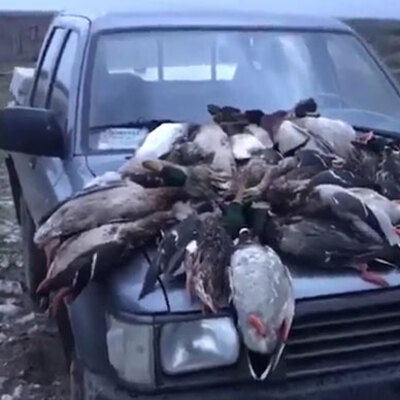 Tepki çeken olay! Polis her yerde onları arıyor