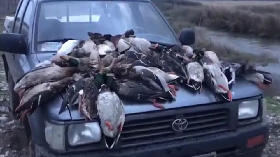 Tepki çeken olay! Polis her yerde onları arıyor