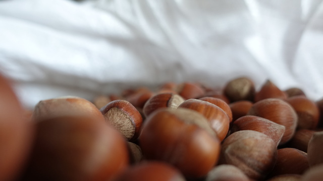 Fındık ihracatçısı yeni yıla umutlu giriyor