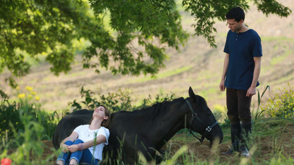 Bold Pilot kliplendi