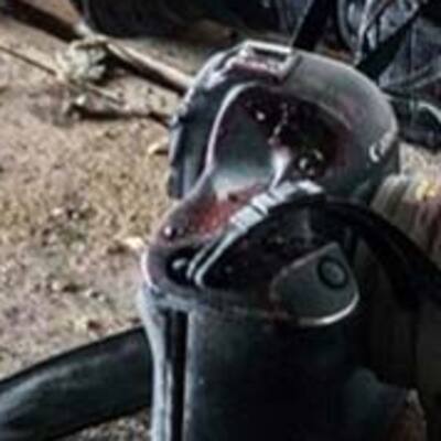 Yemen'de 2018 yılında 12 gazeteci öldürüldü