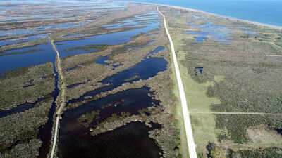UNESCO Listesi'ndeki Kızılırmak Deltası avcılığa kapatılsın! Ördek katliamına tepki!