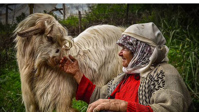 Kadın gözüyle hayattan kareler