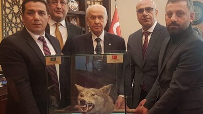 Bahçeli'ye 'doldurulmuş kurt kafası' hediyesi