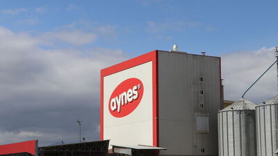 Aynes yeniden TMSF'ye devredildi