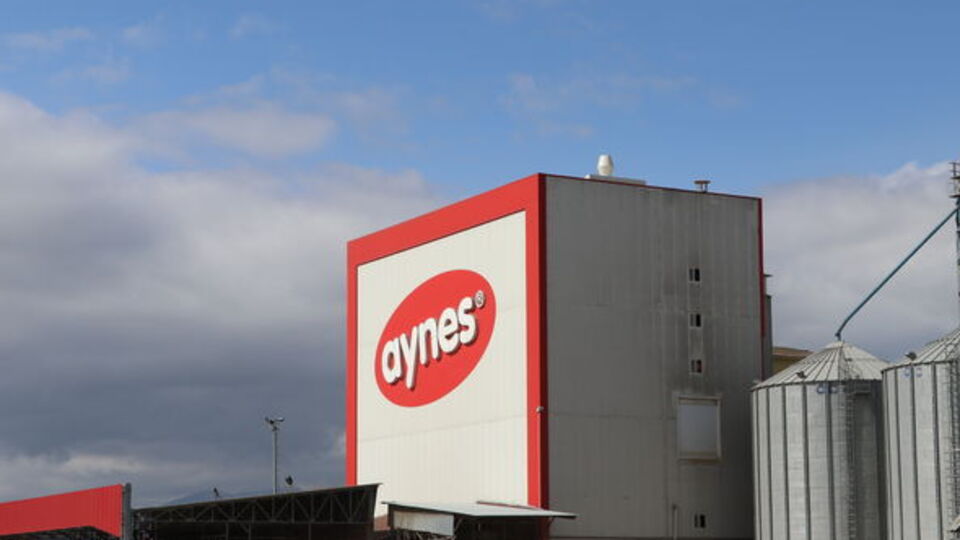 Aynes yeniden TMSF'ye devredildi