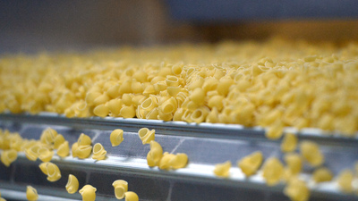 Makarnalık buğdayda çiftçiye alım garantisi