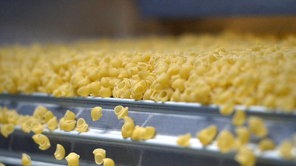 Makarnalık buğdayda çiftçiye alım garantisi