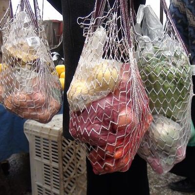 Plastik poşet yerine neler kullanılabilir?