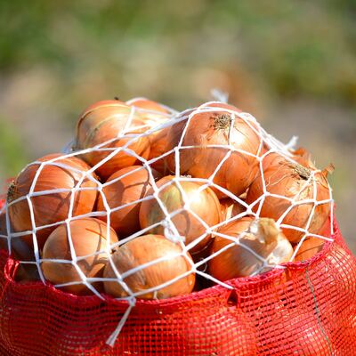 Şampiyon belli oldu! Fiyatı yüzde 184 arttı