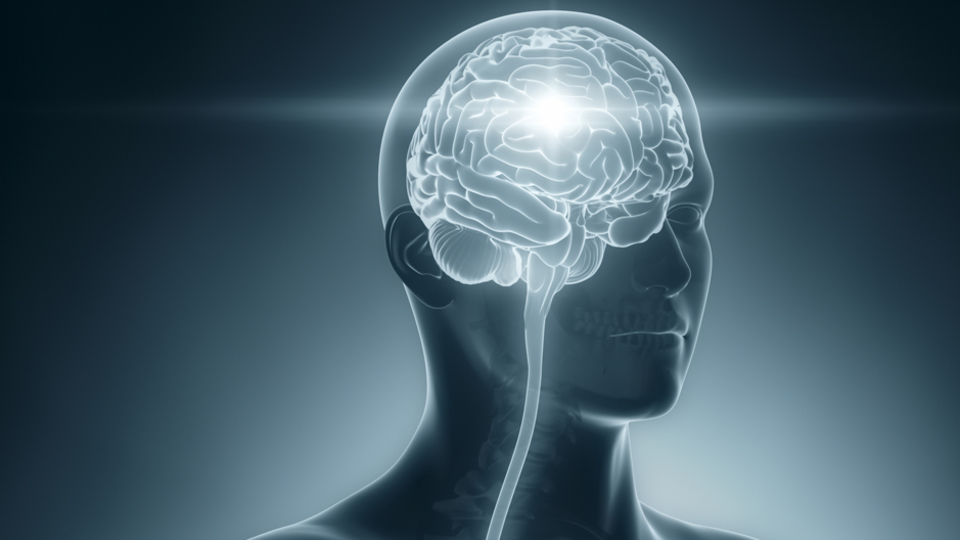 Amigdala nedir, ne işe yarar?