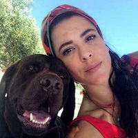 "5 dakika arayla iki köpeğimizi kaybettik"