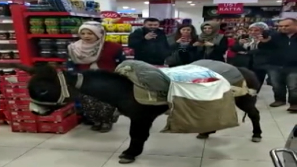 Görenler şaşkına döndü! Poşet parası vermemek için markete böyle geldi