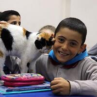 Kedi 'Pamuk' okullu oldu