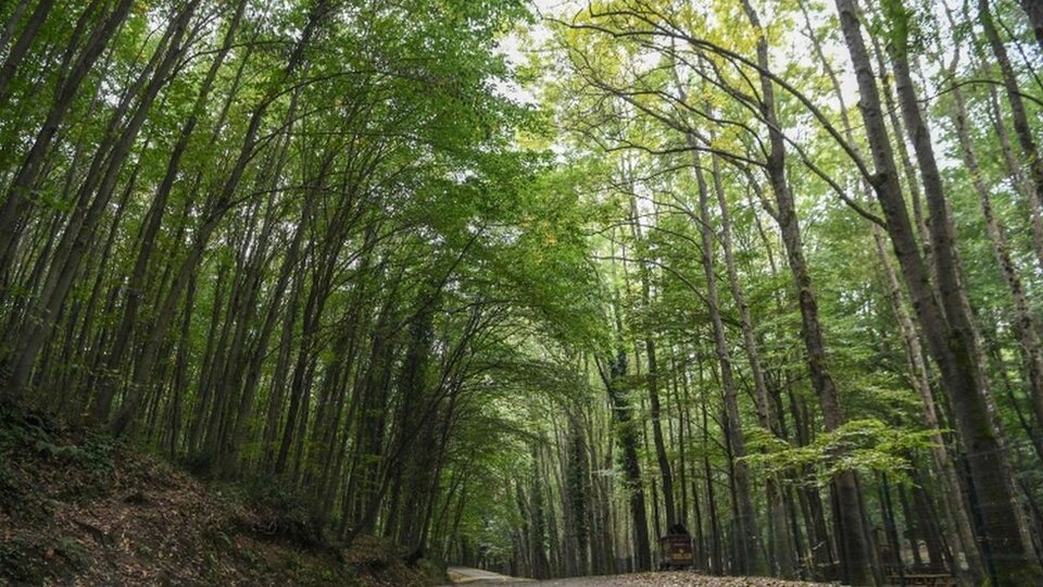 İngiltere'de günlük ortalama ölüm oranının en yüksek olduğu tarih: 6 Ocak