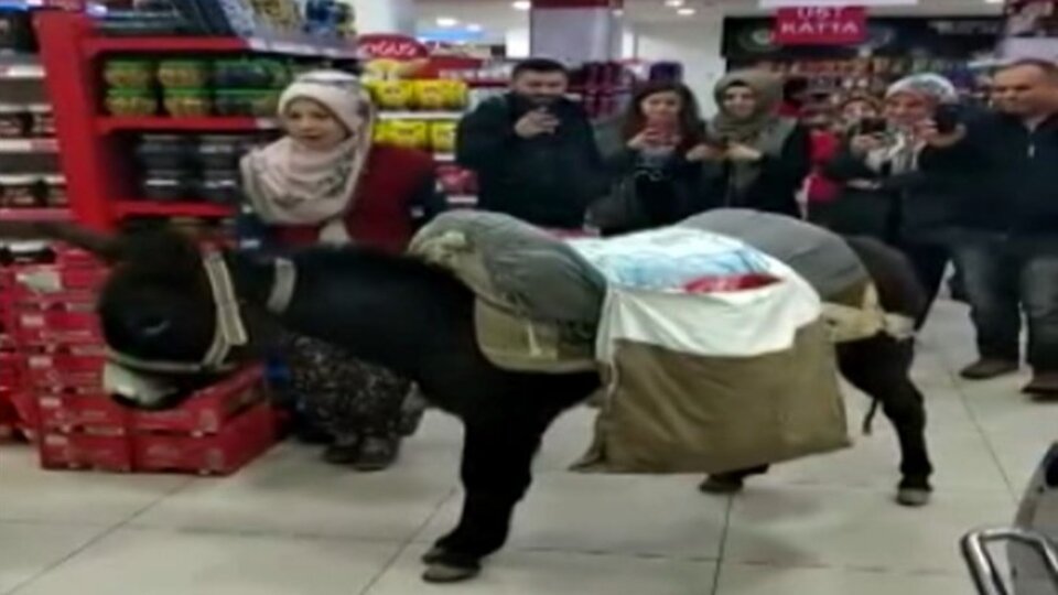 Markette eşekli poşet protestosuna ceza