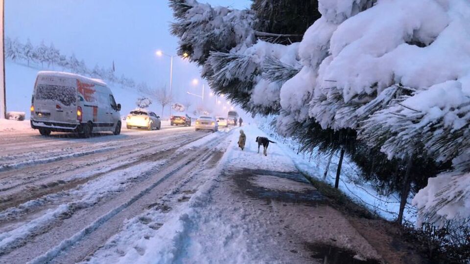 Sakarya'da okullar tatil mi?