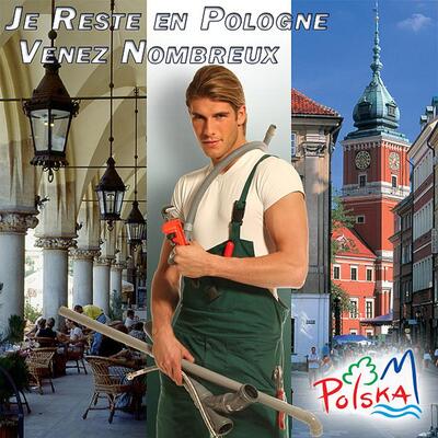 Sadece Polonyalı muslukçu değil beyinler de göçtü