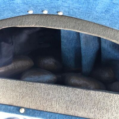 Polis şüphelendi, 'Alfa' buldu