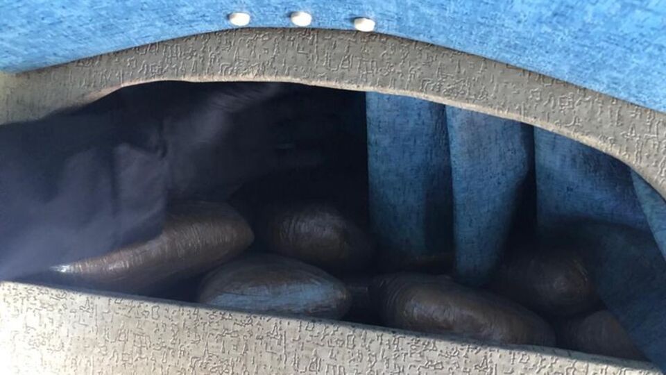 Polis şüphelendi, 'Alfa' buldu