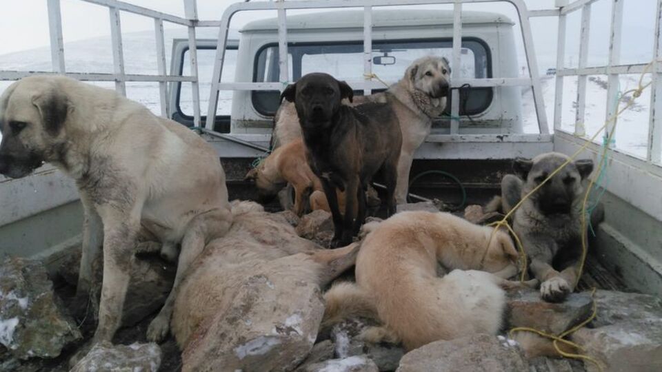 Konya'da ölüm kamyoneti iddiası!