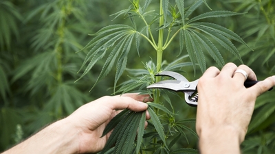 'Türkiye'nin önünü açacak'