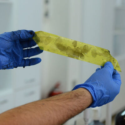 3 yıl sonra çözülen cinayette şoke eden detay!