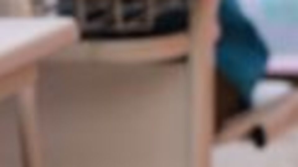 Öğrencilere sömestr uyarısı!