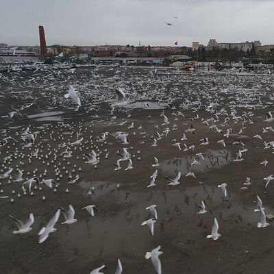 Binlercesi İstanbul'da bir otoparka sığındı