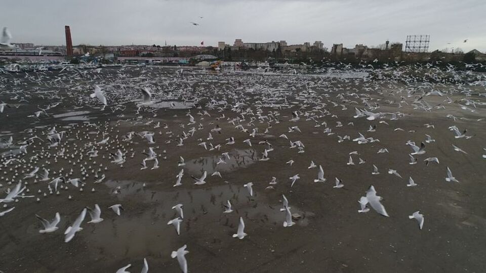 Binlercesi İstanbul'da bir otoparka sığındı