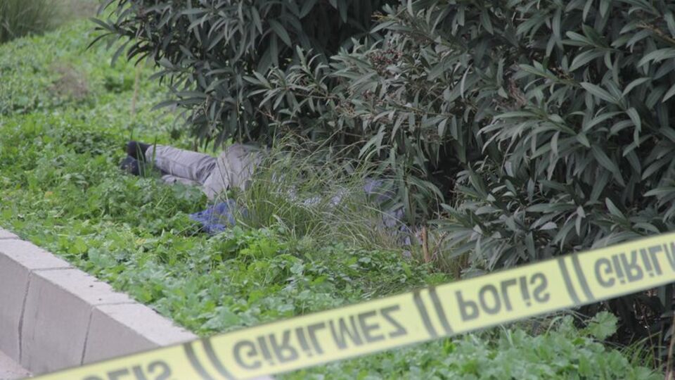 Ailesi 'geri dön' diye ağlarken yol kenarında böyle bulundu