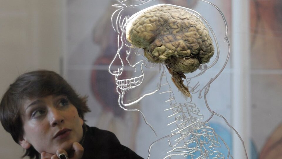 'Aşırı kilo, beyinde küçülmeye neden olabilir'