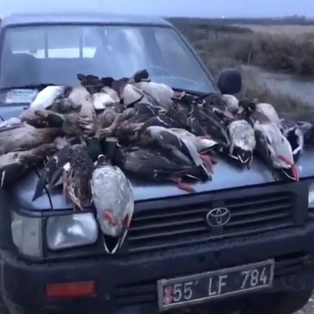 Katliamın bedeli ağır oldu!