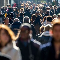 Bakan Selçuk'tan istihdam açıklaması