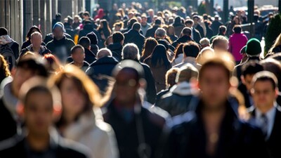 Bakan Selçuk'tan istihdam açıklaması