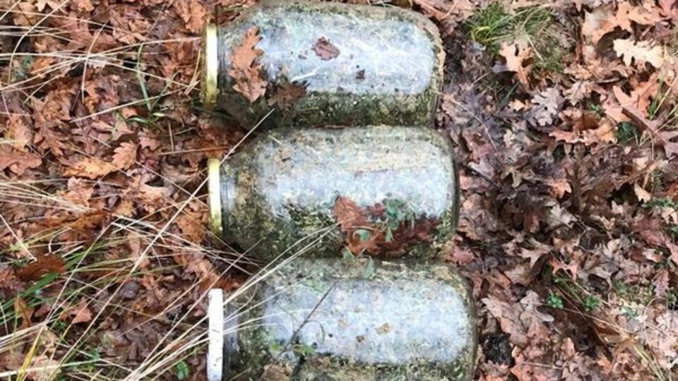 Cam kavanozda ormana gömdüler, çıkarırken suçüstü yakalandılar