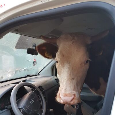 'Dur' ihtarından kaçtı, kovalamacayla yakalandı... Aracı kontrol eden polis gözlerine inanamadı