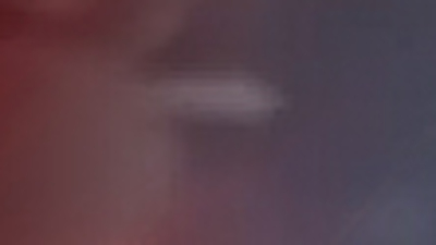 Köpeklerden dayanışma! Denize düşen arkadaşları için bakın ne yaptılar...