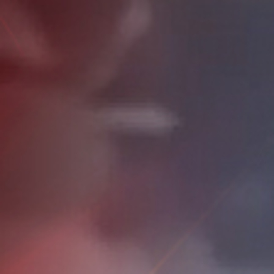 Köpeklerden dayanışma! Denize düşen arkadaşları için bakın ne yaptılar...