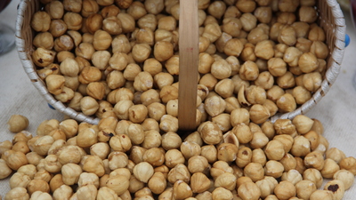 Fındık fiyatı zirve yaptı