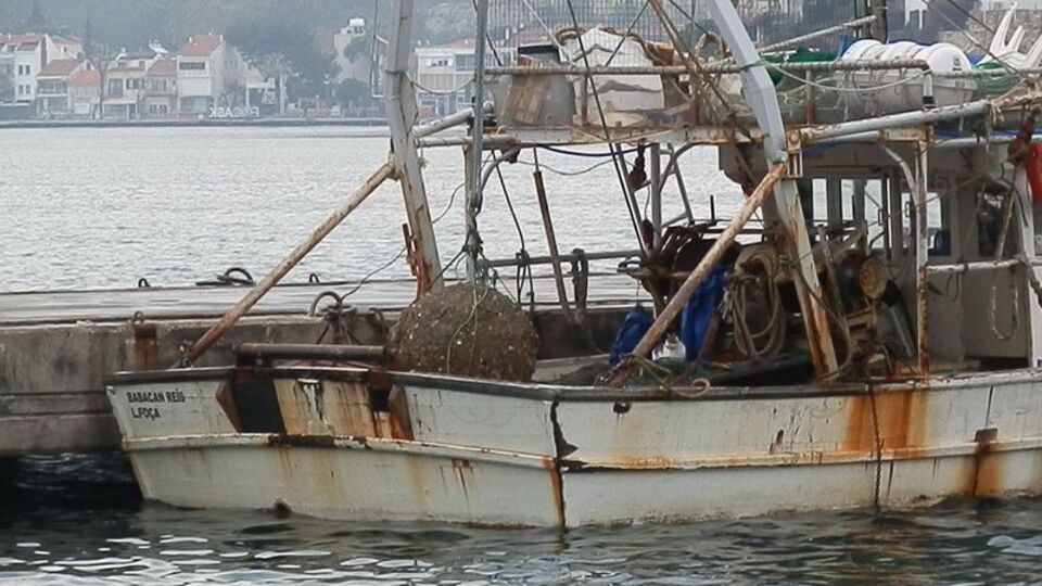 Balıkçının ağına takıldı, incelenecek!