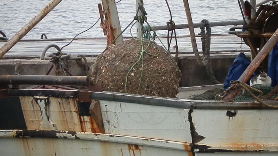 Balıkçı ağına mayın takıldı