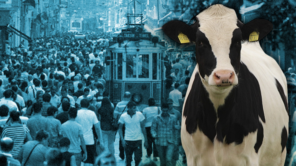 Mal canın yongasıymış