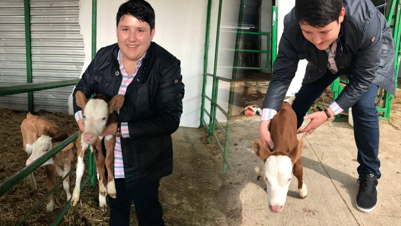 'Tosuncuk' gerçekleri! Kayyumlar tespit etti