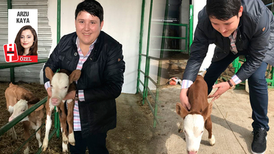 'Tosuncuk' gerçekleri! Kayyumlar tespit etti