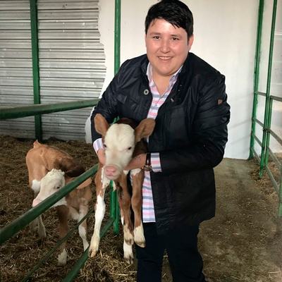 'Tosuncuk' gerçekleri! Kayyumlar tespit etti