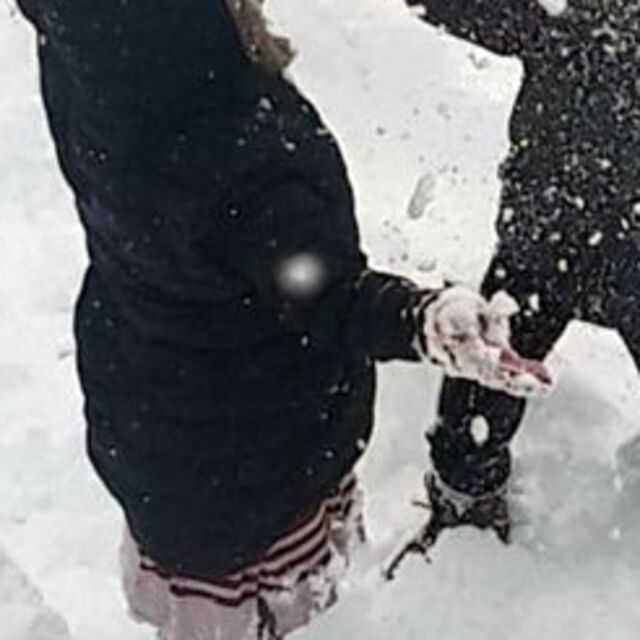 Van'da 1 ilçede eğitime kar engeli