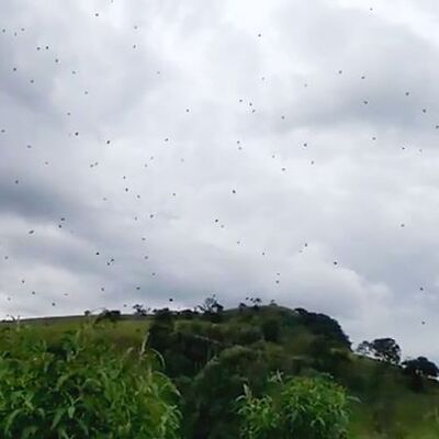 Şoke eden manzara! Gökten oluk oluk yağdığı iddia edildi