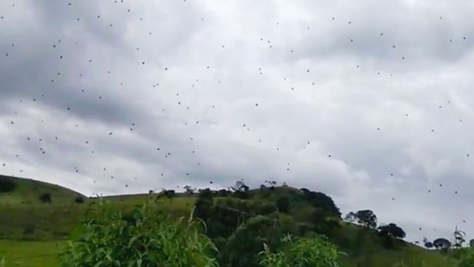Şoke eden manzara! Gökten oluk oluk yağdığı iddia edildi