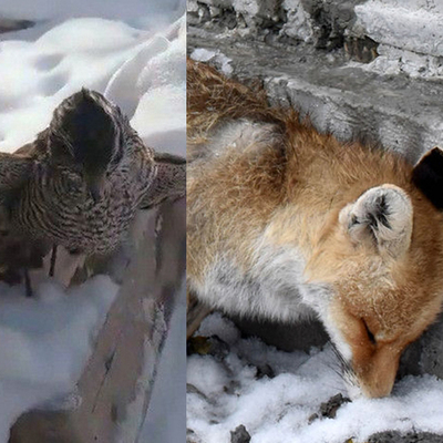 379 yıl önce yazılmıştı! 3 günde 3 kez yaşandı...